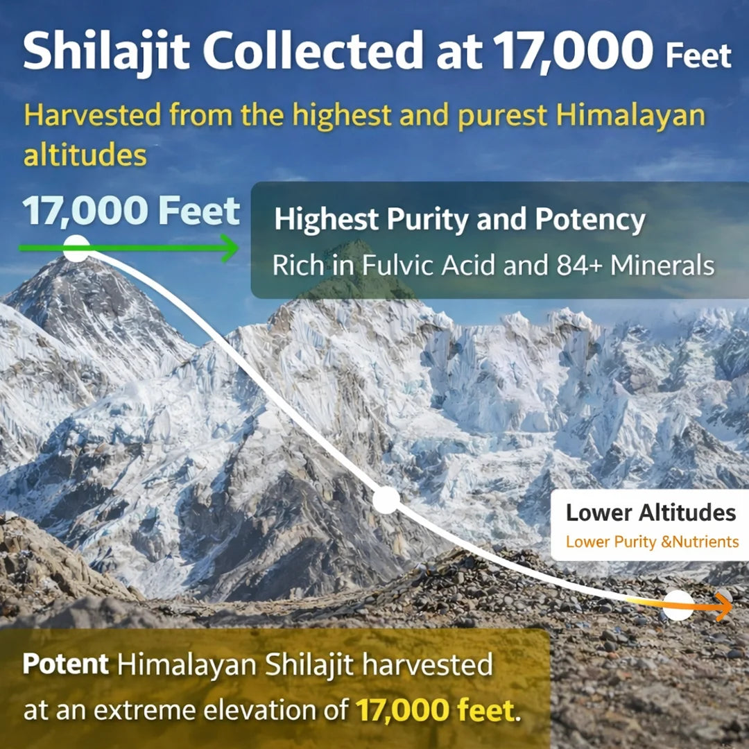 🇦🇺 Pure Himalayan Shilajit Resin | Australia
